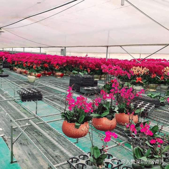同城花园交友平台_☺同城花园交友平台☺